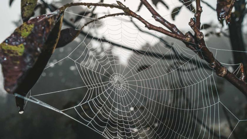 ¿Qué es la Web3 o Web 3.0? - Leon Kadoch, Marketing Digital en Panamá - Latam